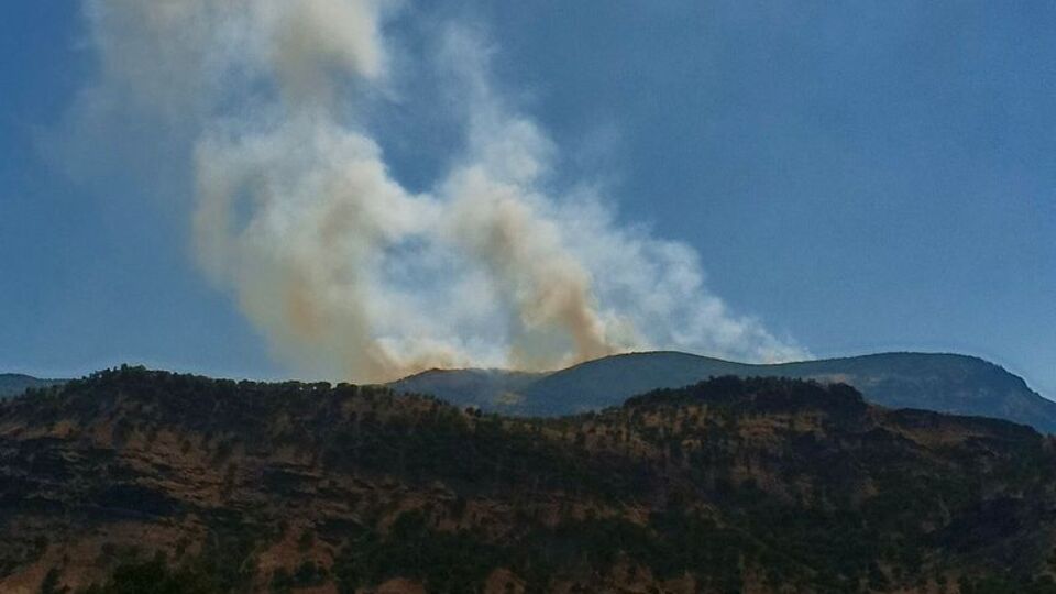 Tunceli'de orman yangını