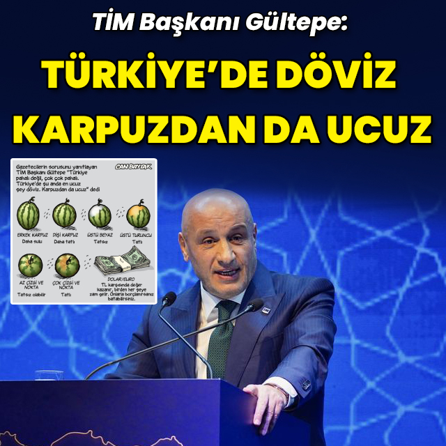 TİM Başkanı Gültepe: Türkiye'de döviz karpuzdan ucuz