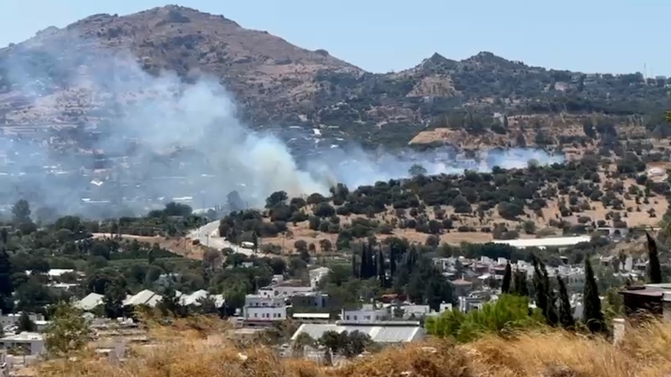 Bodrum'da orman yangını