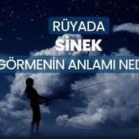 Rüyada sinek görmek ne anlama gelir?