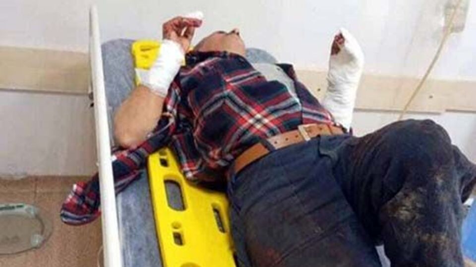 Domuz sürüsü ile karşılaşan kişi dehşeti yaşadı
