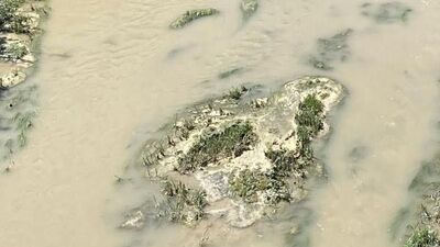 Milyonluk ceza kesilen firma kirletmeye devam etti