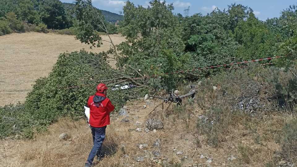 Kestiği ağacın altında can verdi