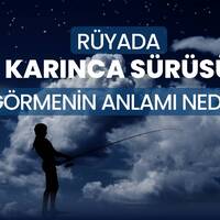 Rüyada karınca sürüsü görmek ne anlama gelir?