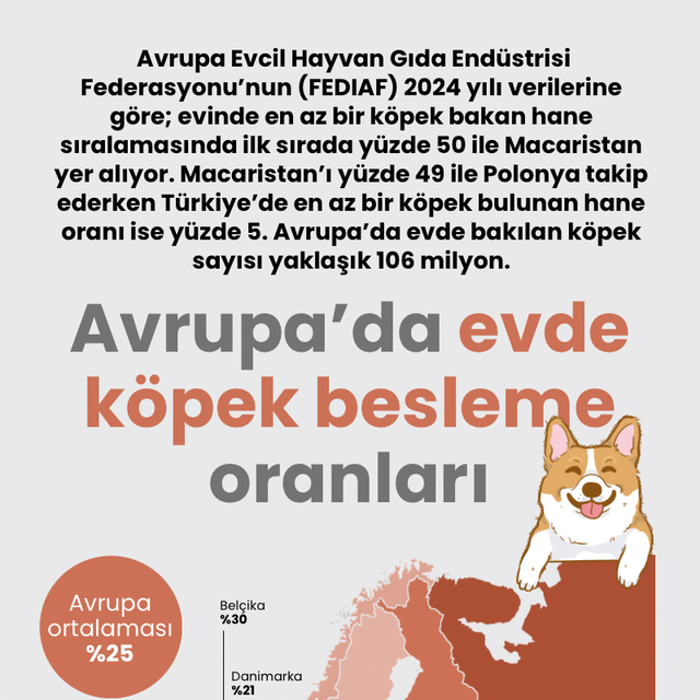 Avrupa'da evde kedi ve köpek besleme oranları