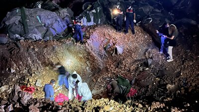 Altındağ'da köpek ölümleri! Barınak yakınında bulundu
