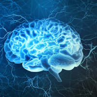  Beslenme şekli beyni nasıl etkiliyor?