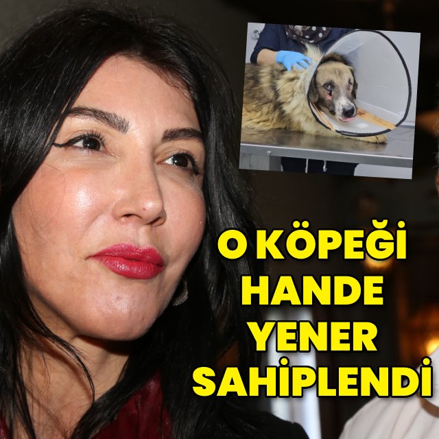 O köpeği Hande Yener sahiplendi