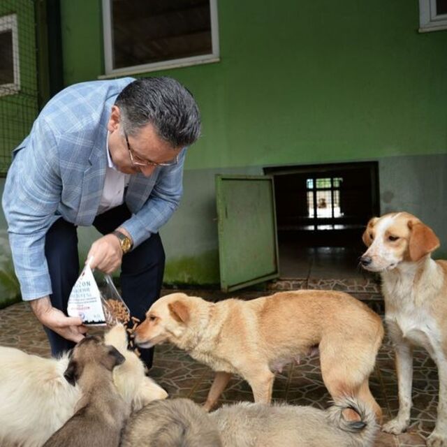 Hayvan sahiplenenlere mama desteği
