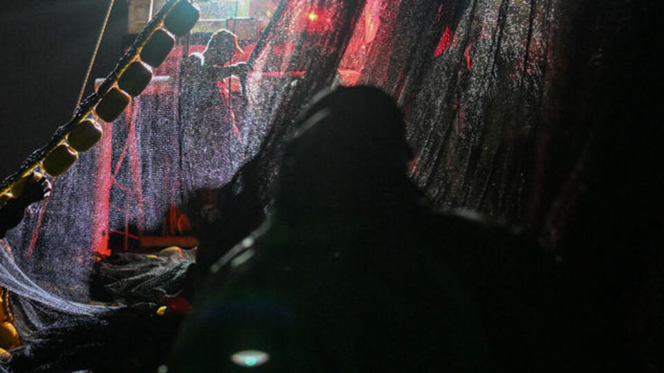 Bakanlıktan su ürünleri avcılığına yönelik düzenleme