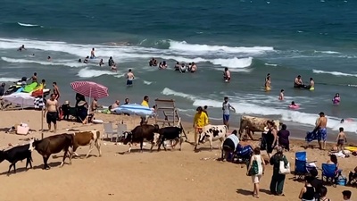 Kalabalığa aldırmadılar