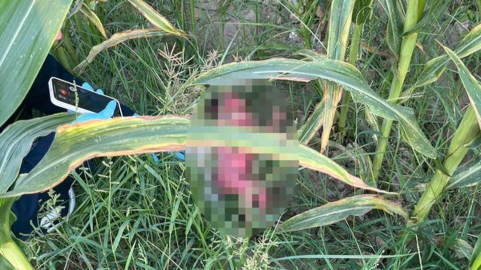 Tarlada bulunan bebeğin annesi küçük kız çıktı