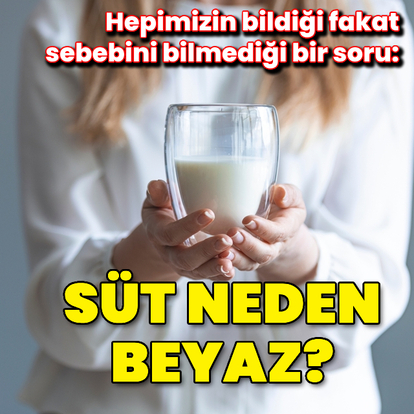 Hepimizin bildiği fakat sebebini bilmediği bir soru: Süt neden beyazdır?