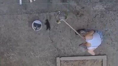 3 yavru kedi fırça sapıyla öldürüldü! Feci anlar kamerada