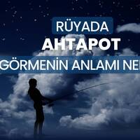 Rüyada ahtapot görmek ne anlama gelir?