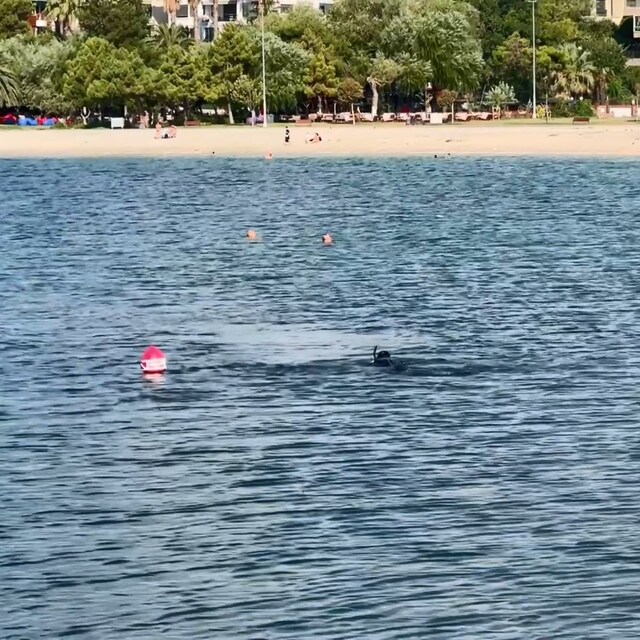 Bakırköy'de denize giren genç boğuldu