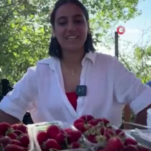 Erzincan'da çilek ve böğürtlen festivali