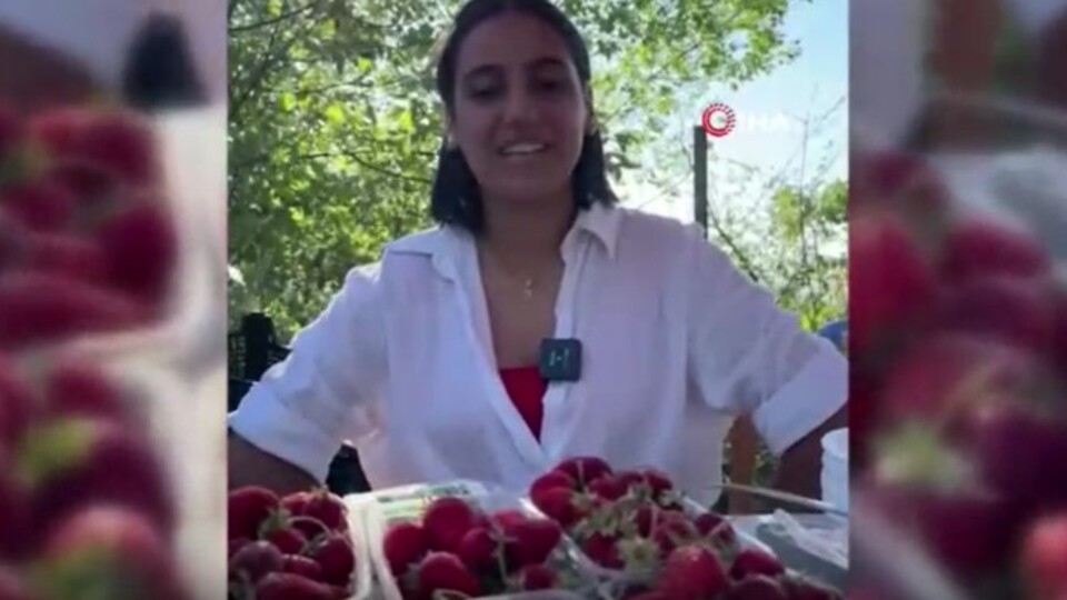 Erzincan'da çilek ve böğürtlen festivali