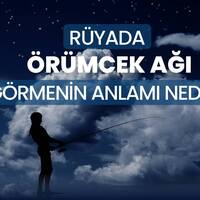 Rüyada örümcek ağı görmek anlama gelir?