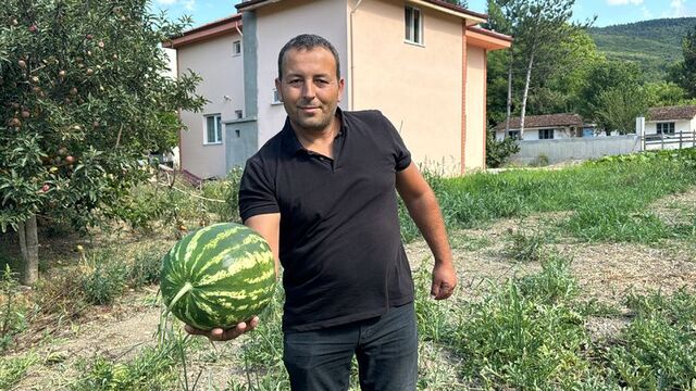 2 dönüm karpuzu vatandaşlara ikram ediyor