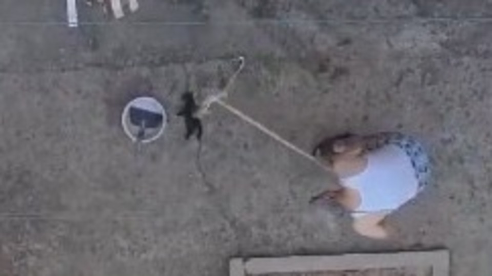 Manisa'da vahşet: 3 yavru kediyi fırça sapıyla öldüren kişi tutuklandı