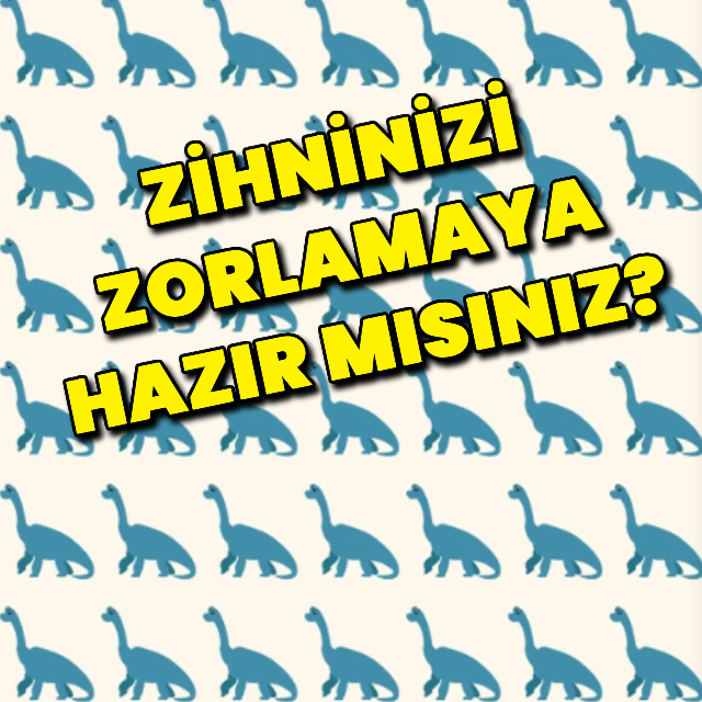 Zihninizi zorlamaya hazır mısınız? Farklı olanı bulun!