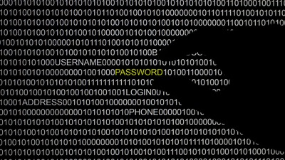 Küresel siber casusluk ağı çökertildi: 11 tutuklama