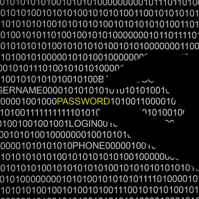 Küresel siber casusluk ağı çökertildi: 11 tutuklama