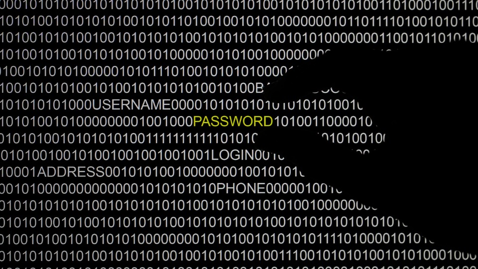 Küresel siber casusluk ağı çökertildi: 11 tutuklama