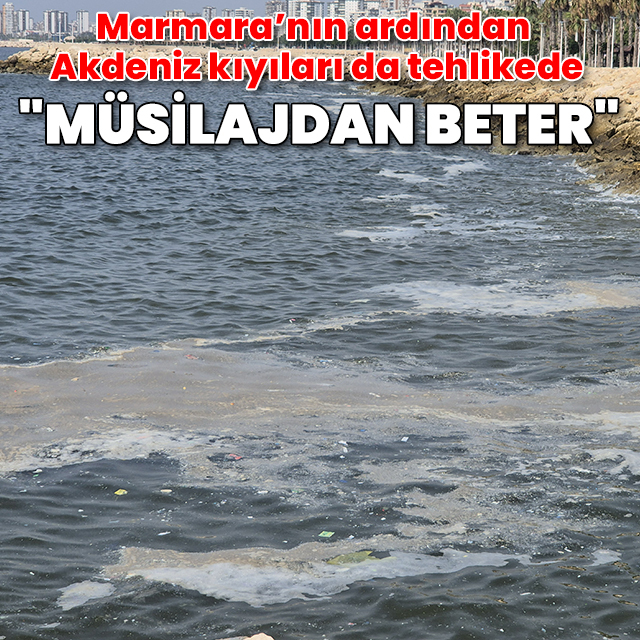 Mersin Körfezi alarm veriyor! "Müsilajdan beter"