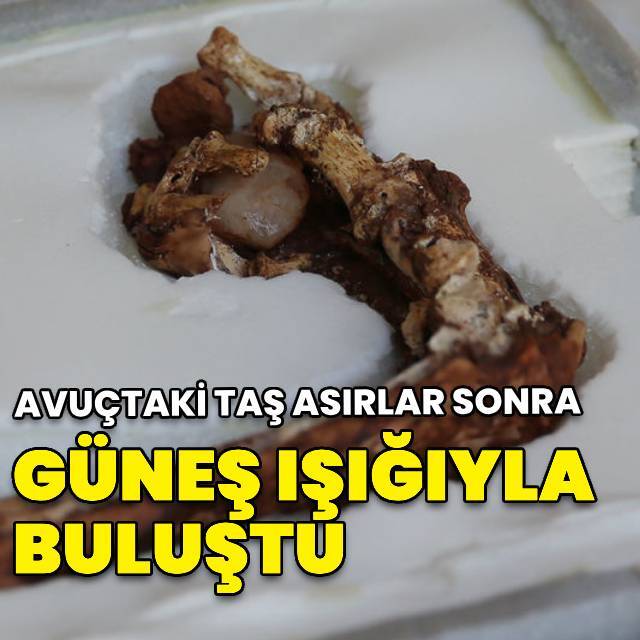 Avuçtaki taş asırlar sonra güneş ışığıyla buluştu