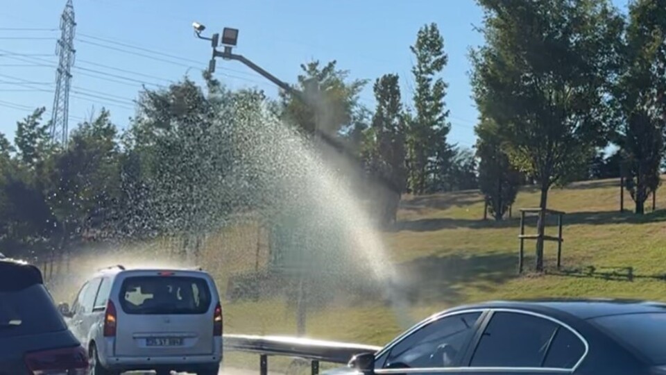 TEM'de ilginç anlar