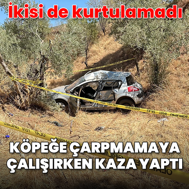 Köpeğe çarpmamaya çalışırken kaza yaptı: 2 ölü