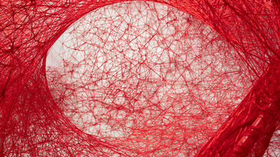 İstanbul Modern'de 'Dünyalar Arasında'