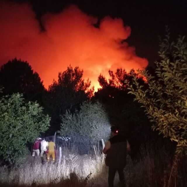 Karşıyaka'da orman yangını