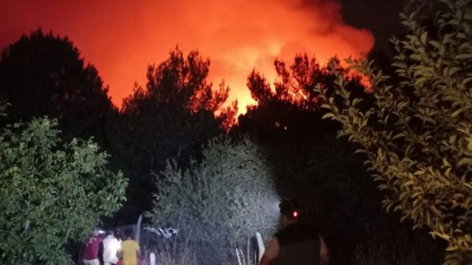 Karşıyaka'da orman yangını