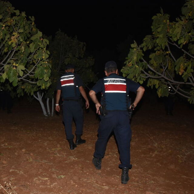 Jandarmadan incir ve zeytin hırsızlığına karşı uygulama