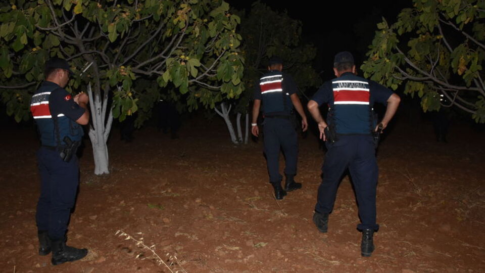 Jandarmadan incir ve zeytin hırsızlığına karşı uygulama