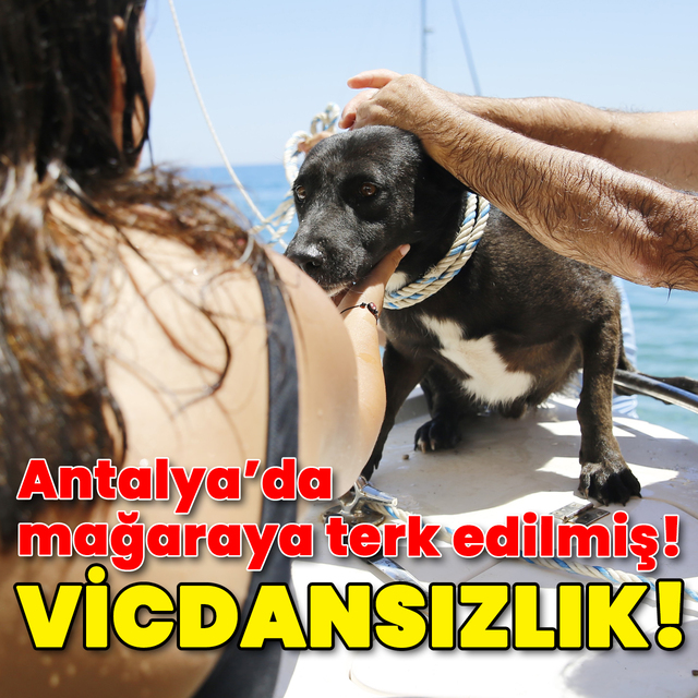 Vicdansızlık! Mağaraya terk edilmiş