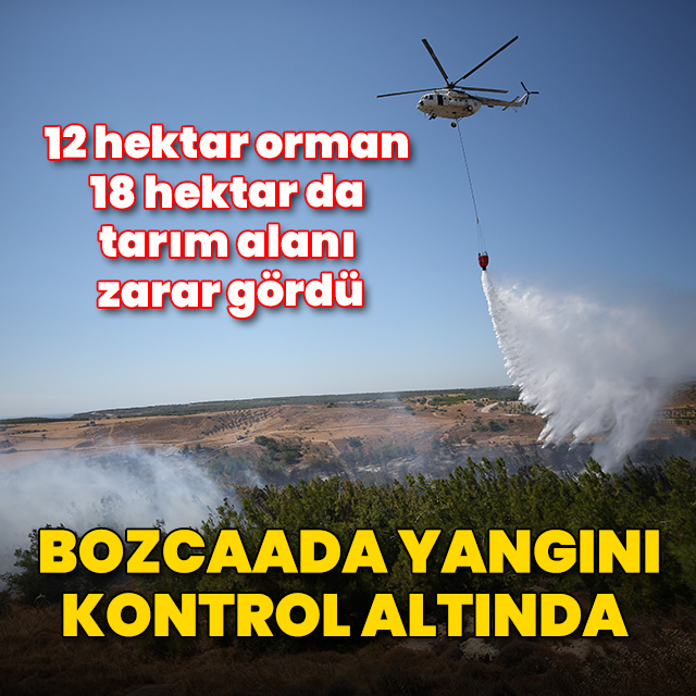 Bozcaada yangını kontrol altında: 12 hektar orman, 18 hektar da tarım alanı zarar gördü