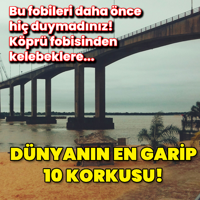 Dünyanın en garip 10 korkusu!