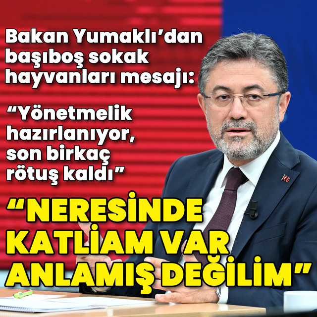"Neresinde katliam var anlamış değilim"