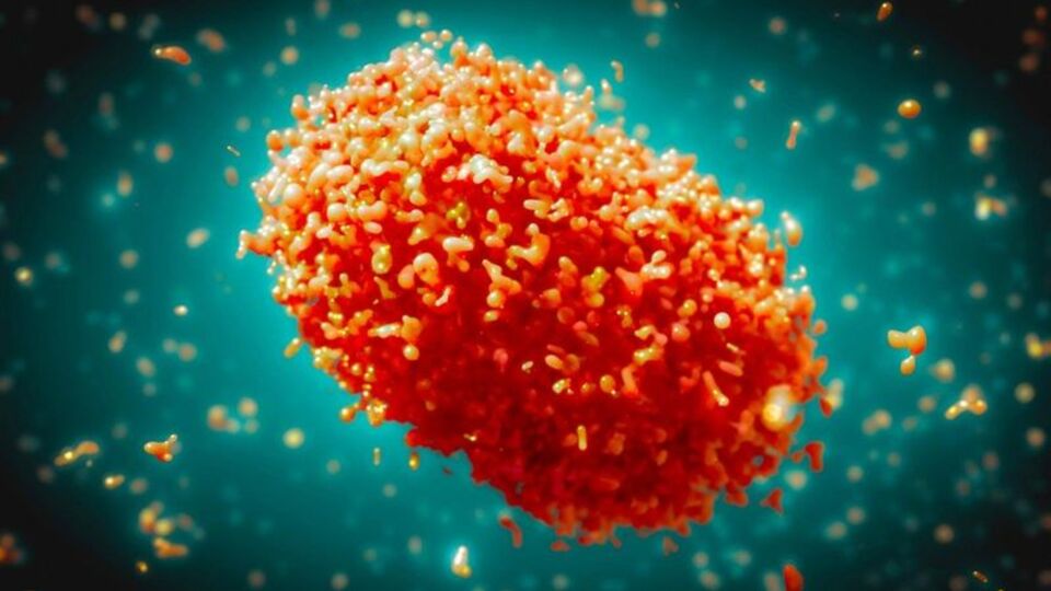 Prof. Dr. İsmail Balık'tan "M çiçeği hastalığı" açıklaması