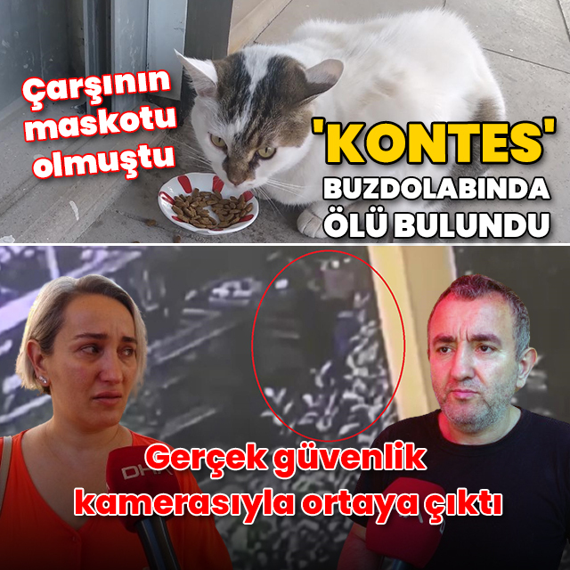 Çarşının maskotu 'Kontes' buzdolabında ölü bulundu: Gerçek, güvenlik kamerasında ortaya çıktı