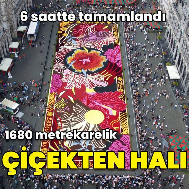 6 saatte tamamlandı! 1680 metrekarelik çiçekten halı