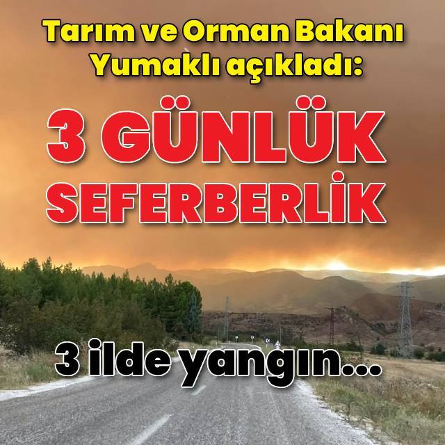 Manisa, Çanakkale ve Bolu'da orman yangını