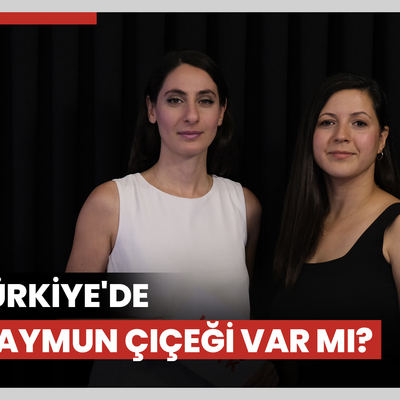 Türkiye'de Maymun Çiçeği var mı? Maymun Çiçeği virüsü nasıl bulaşır? Hastalığın belirtileri neler?