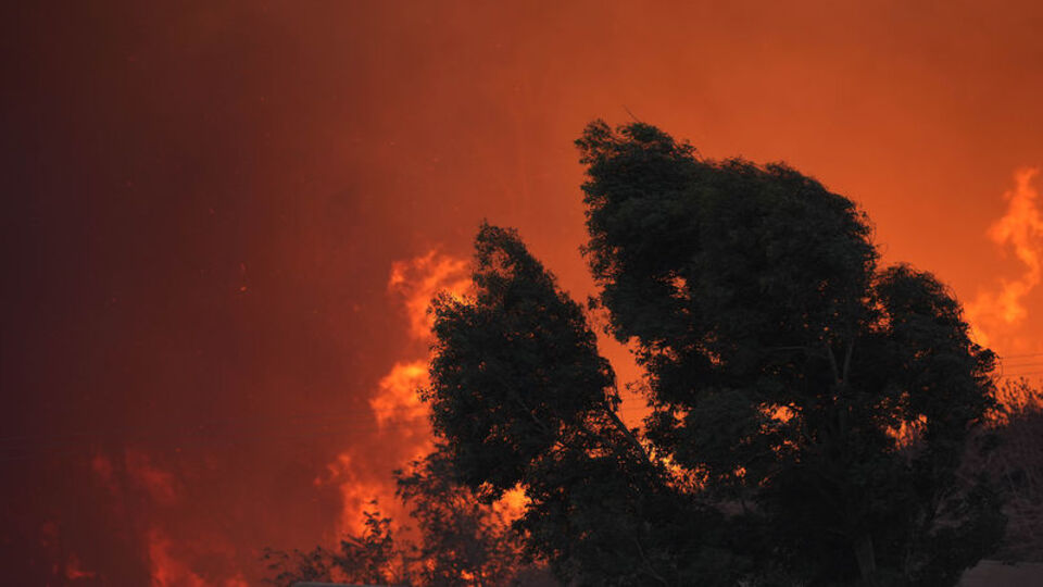 Sıcak hava dalgası sürüyor! Orman yangınları büyük risk taşıyor