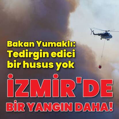  İzmir yangınına müdahale devam ediyor! Piknik ateşinden çıkmış