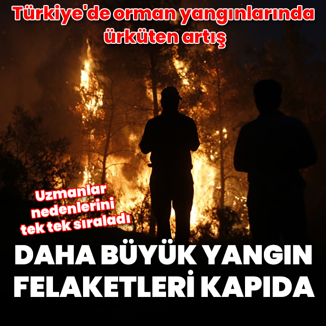 Türkiye'de orman yangınlarında ürküten artış: Daha büyük yangın felaketleri kapıda
